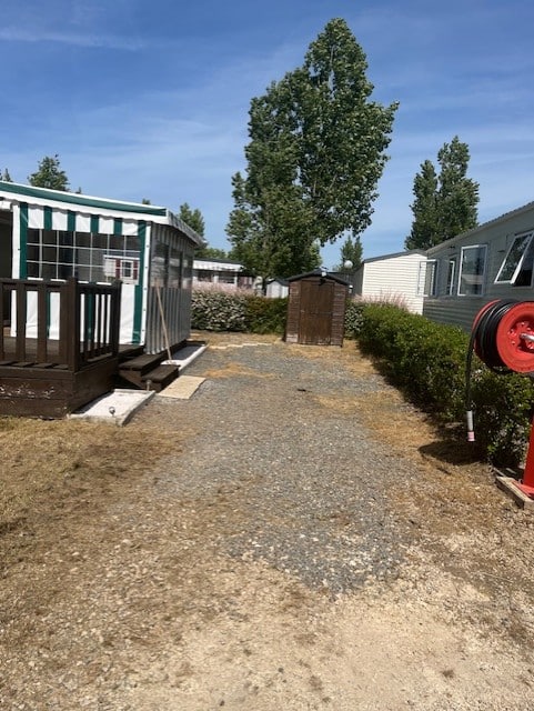 WILLERBY RIO GOLD (208)
